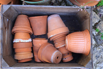 Flower pots in a wooden crate