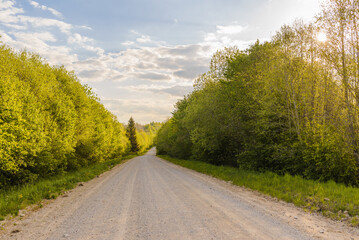 Empty Sandy country road near the forest,fluffy clouds blue sky,summer evening landscape.