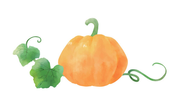 カボチャ Images Browse 27 6 Stock Photos Vectors And Video Adobe Stock