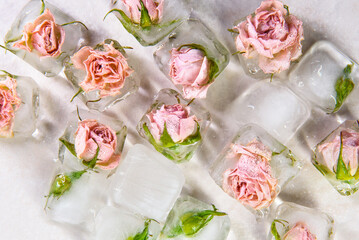 Obraz na płótnie Canvas roses in ice