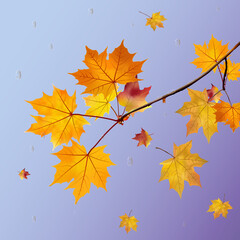 rain, leaves, maple, droplet, vector, branch, drawn