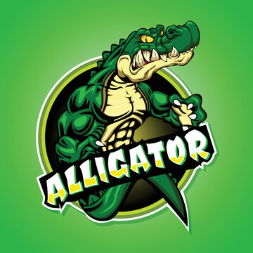 Alligator mascot esport logo design