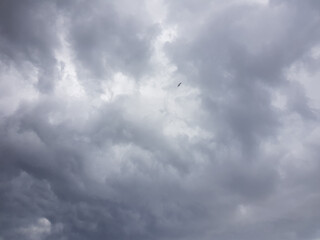 Cielo