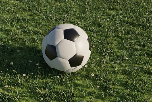 Soccer ball on green grass. Concept of ball games, upcoming ball games. 3d render.