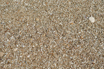 rocks and white sand on a tropical beach