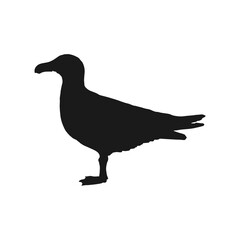 Silhouette of flying seagulls. Hand drawn illustration converted to vector.