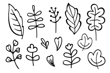 Doodle Flower Set. Vector doodle grass branch, berry, inflorescence, black and white drawing, sketch.