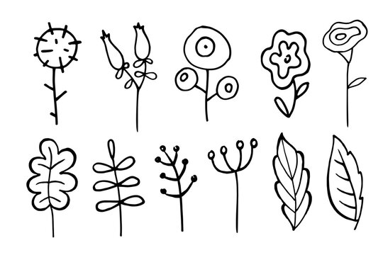 Doodle Flower Set. Vector doodle grass branch, berry, inflorescence, black and white drawing, sketch.