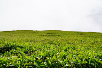 車山への登山道から眺める風景