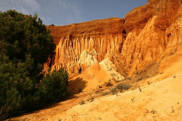 Les falaises sur la plage d'Albufeira en Algarve au Portugal 