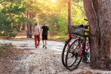 Obraz premium Scene view of young adult lovers pair enjoy hugging at outdoors forest walk date with bicycles. Sport lifestyle healthy recreation leisure bike tour trip in nature woods at autumn evening together
