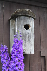 Bird house