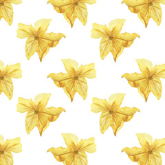 Cucumber orange flower patternwatercolor illustration isolated on white background.