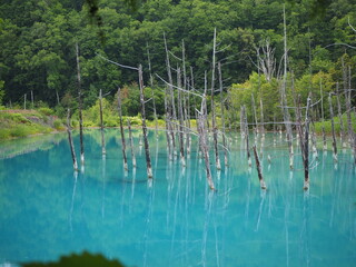 美唄町にある観光地「青い池」