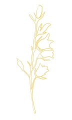 tree isolated on white