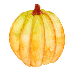 Watercolor yellow pumpkin for thanksgiving or halloween, for posters, cards, decoration. Isolated on a white background.