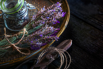 Harvested fresh lavender with seeds in glass jar  in a bamboo tray and sciccors and jute twine