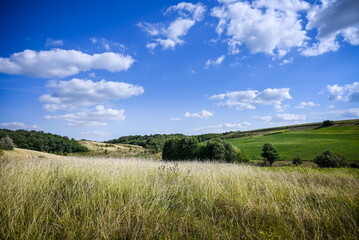 Green Grass Field Landscape with fantastic clouds in the backgro