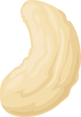 Isolated cashew nut top view, peeled vector seed