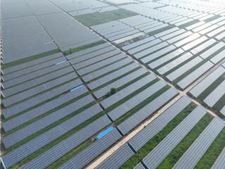 solar panels in farm