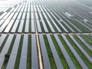 solar panels in farm