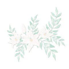 Watercolor White Lilies Decorative Element