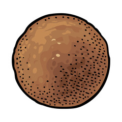 Gulab jamun. Indian traditional food. Vector color realistic illustration. Isolated on white