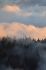 Obraz premium Mare di nebbia