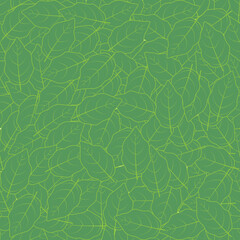 Seamless with green birch leaves vector