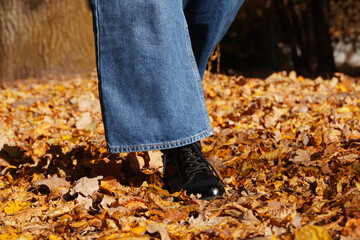  Legs of woman wearing black leather shoes in autumn yellow foliage walking at public park.