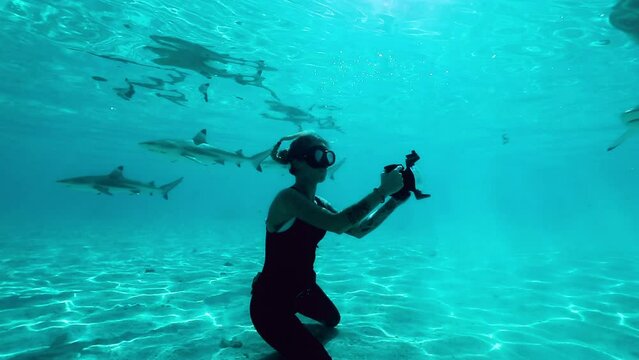 Female Scuba Diver Recording Sharks While Kneeling In Sea - Bimini, The Bahamas