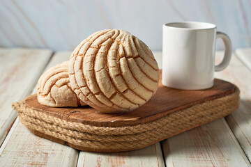 Conchas Mexican sweet bread traditional bakery from Mexico