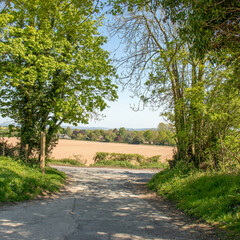 Summertime scenery in the UK.