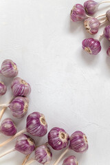 Many fresh violet garlic on a white background. Copy space. Top view.