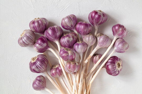 Bunch of fresh violet garlic on a white background. Top view.