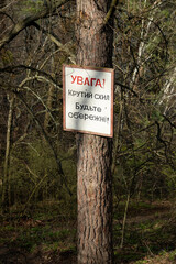 White sign board with warning text on pine tree trunk in sunny spring forest. Translation from ukrainian: Warning! Steep slope Be careful!