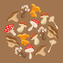 Cartoon mushrooms. Poisonous and edible mushroom, chanterelle, cep, amanita isolated vector illustration set. Forest wild mushrooms types. Organic porcini and chanterelle, poisonous fungus concept