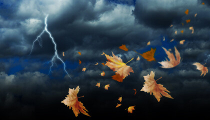 Fototapeta na wymiar thunder clouds rain leaf leaves falling in autumn season isolated for background many - 3d rendering