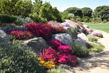 Jardin méditerranéen au printemps