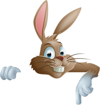 An illustration of a cute cartoon bunny rabbit peeking round from behind a sign and pointing down or showing what it says
