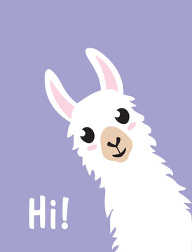 cute alpaca or llama.  toy. poster. animal. wildlife. vector illustration. baby picture. art. design