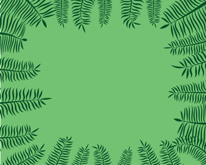 Fototapeta na wymiar fern leaves background