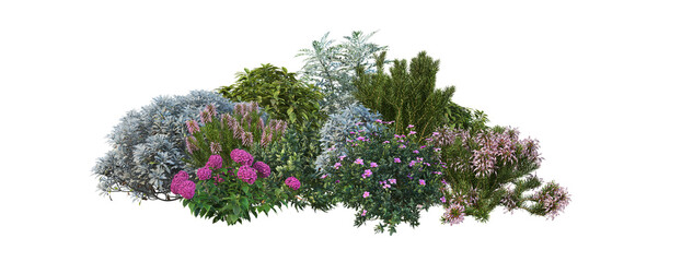 Flowers on a transparent background
