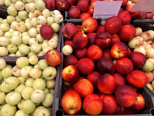 buying fruits(apricots and peaches)  at the market