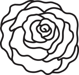 rose flower line drawing