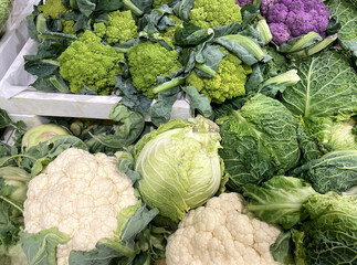 buying cabbage  at the market