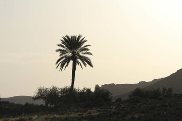 Berber mountain 