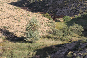 Berber mountain 