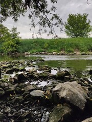 river in the forest