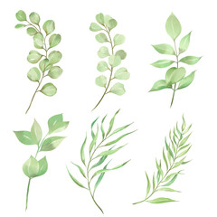Set of watercolor leaves and branches lovely design elements to create your own layouts, honors and elements.